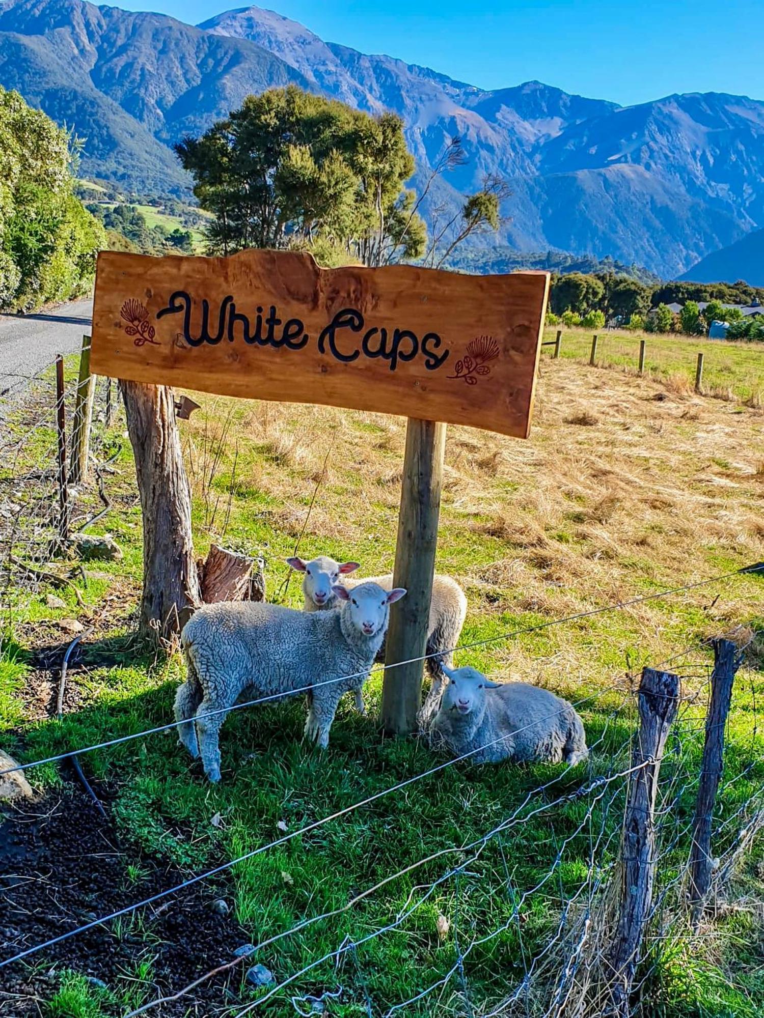 White Caps Kaikoura Farmstay Exterior foto